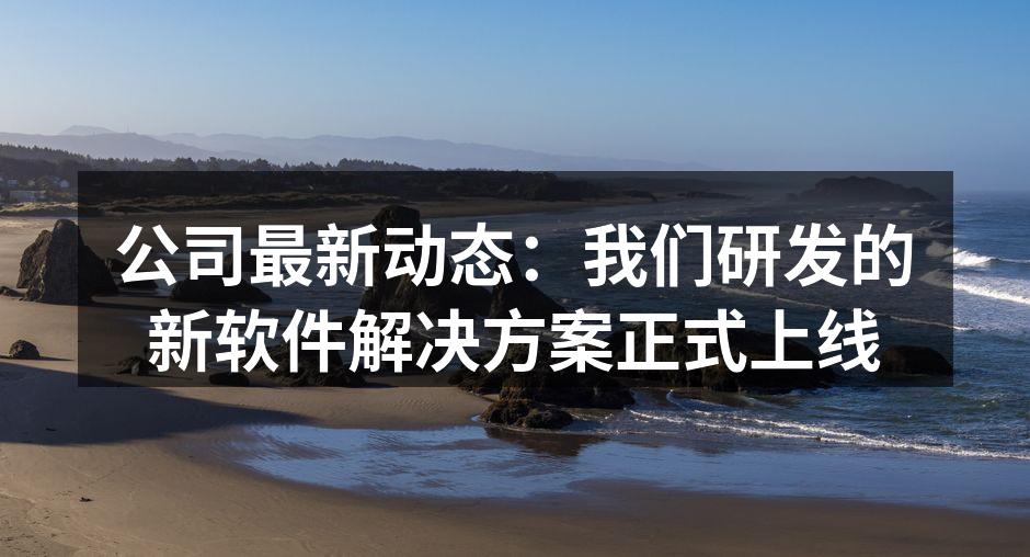 公司最新动态：我们研发的新软件解决方案正